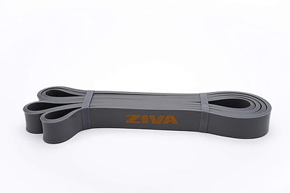 Ziva PRO Portable Resistance Band - Pull Up Assistance Exercise Bands for Home Fitness, Stretching, Strength Training, Physical Therapy – Medium Resistance, 41" L, 22-44 lbs. Tension
