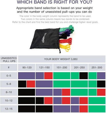 TOMSHOO Resistance Bands Set, Multiple Fitness Exercise Workout Bands with Storage Bag, Door Anchor, Pull Up Assistance Straps for Working Out, Body Stretching, Physical Therapy, More