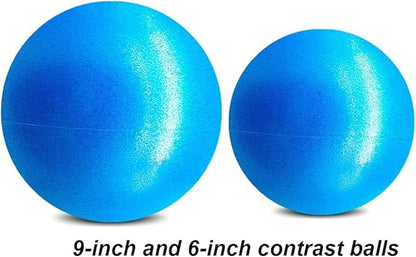 6 Inch Exercise Pilates Mini Yoga Balls Barre for Home Stability Squishy Training Physical Therapy Improves Balance Core Strength Comes with Pump(Black, 6 Inch)