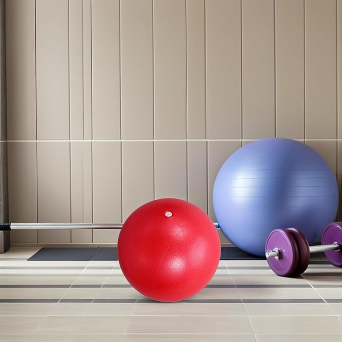 Cabilock 2pcs Small Exercise Balls 25cm Anti-Burst Soft Workout Stability Balls for Core Strength Pilates Balance Training Home Gym Fitness
