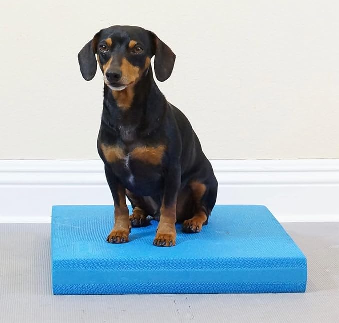 Balance Pad - FitPaws