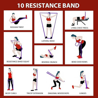 Rubber Resistance Bands Set - Elastic Workout Bands for Men & Women, Heavy Duty Fitness Bands Kit for Home Gym, Physical Therapy and Stretch Training-4 Levels