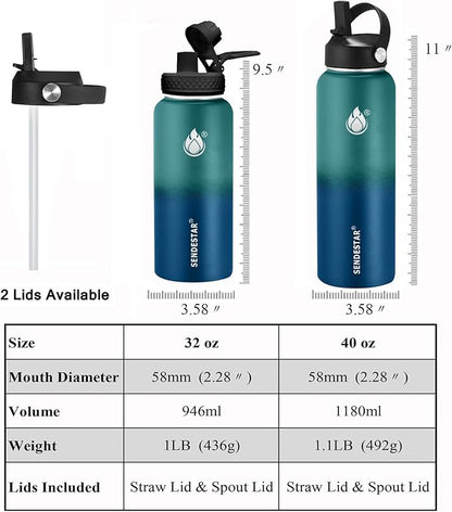 Insulated Water Bottle 32 oz with Straw, Stainless Steel Wide Mouth Water Bottle, Double Wall Vacuum Leak Proof with Straw Lid & Spout Lid for Sports or Office, Keep Cold or Hot Up to 24 Hrs