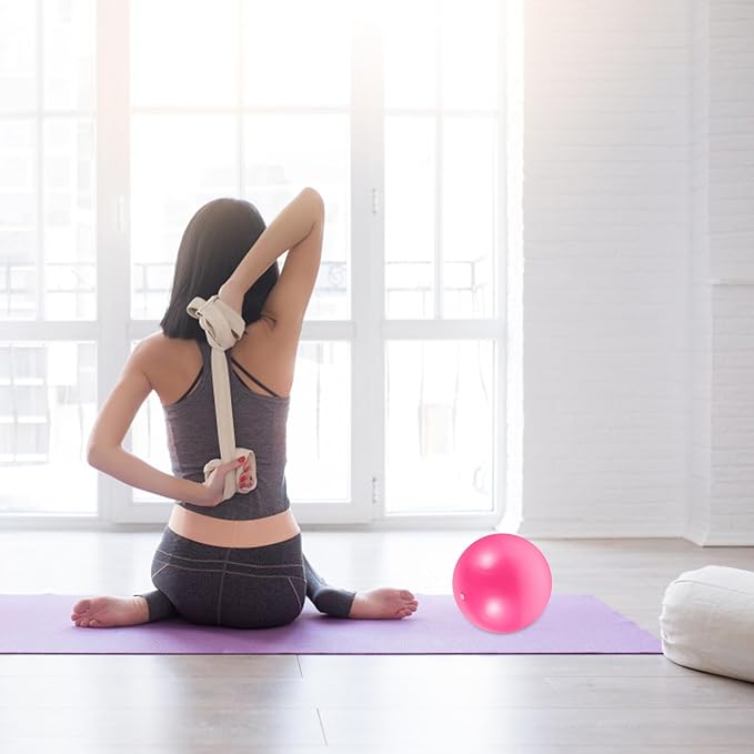 Yardwe 2pcs Mini Pilates Exercise Balls for Balance Training and Core Strength, Thickened 25cm Stability Balls for Home Gym Fitness and Physical Therapy, Purple and Pink