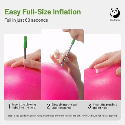 Slim Panda Pilates Ball, 9 Inch Small Exercise Ball, Anti Burst Mini Yoga Ball for Stability, Workout, Barre, Core Strength, Physical Therapy, Balance, Stretching