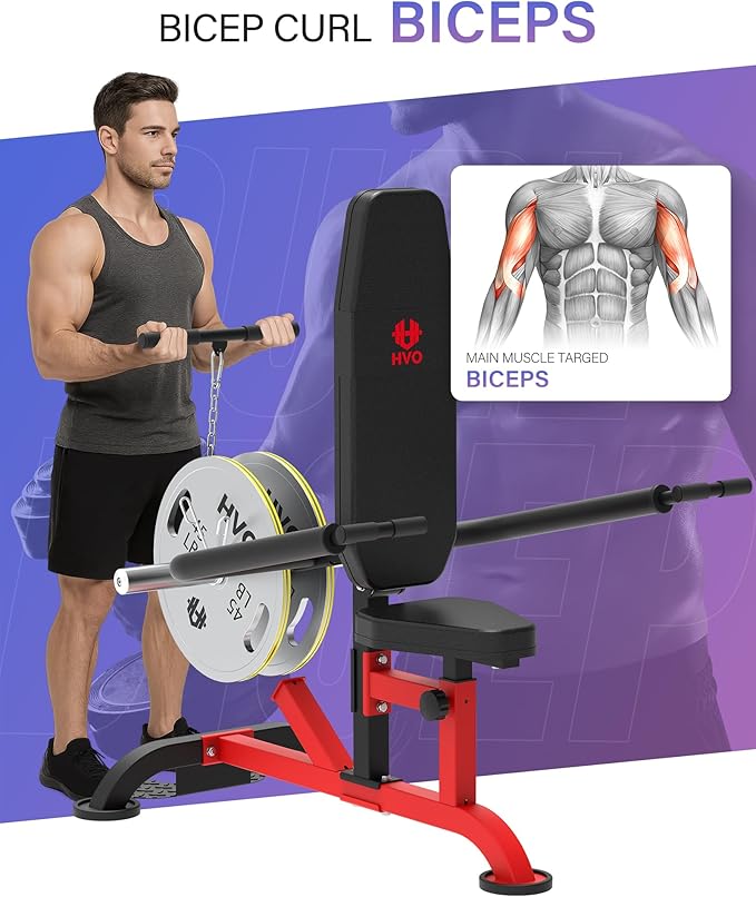 Seated Dip Machine Tricep Biceps: Plate Loaded Exercise for Home Gym Bicep Strength Training Equipment Cable Bar Chest Press