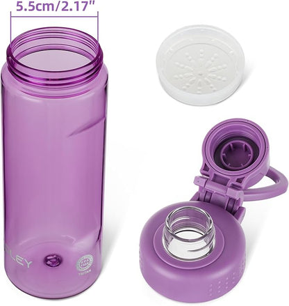 OLDLEY Water Bottles 20oz BPA Free Tritan Water Bottle with Carry Handle and Spout Lid, Leakproof Kids Water Bottle for Home,Travel, School, Outdoors, Dark Purple