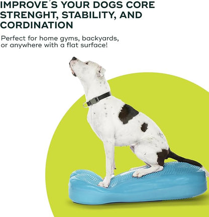 FitPAWS® K9FITbone CanineGym® Dog Balance Training Platform – Giant
