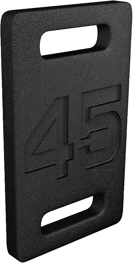 Fitvids Cast Iron Plate, Weighted Plate for Swings, Squat, Strength Training, Fitness Workout, and Home Exercises