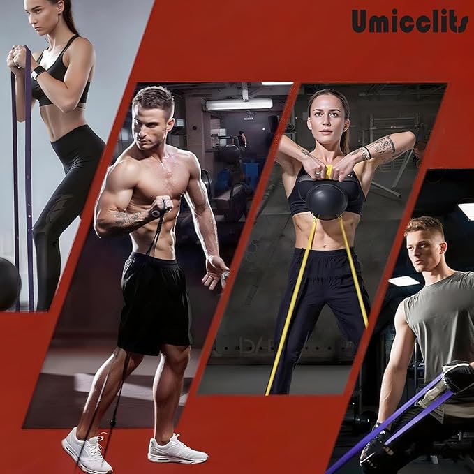 Rubber Resistance Bands Set - Elastic Workout Bands for Men & Women, Heavy Duty Fitness Bands Kit for Home Gym, Physical Therapy and Stretch Training-4 Levels