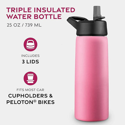 FineDine Triple Walled, Insulated Water Bottles with Straw - 25 Oz Stainless Steel Metal Bottle W/ 3 Leak Proof Lids - For Travel, School, Sports, Gym/Men, Women & Kids - Striking French Rose