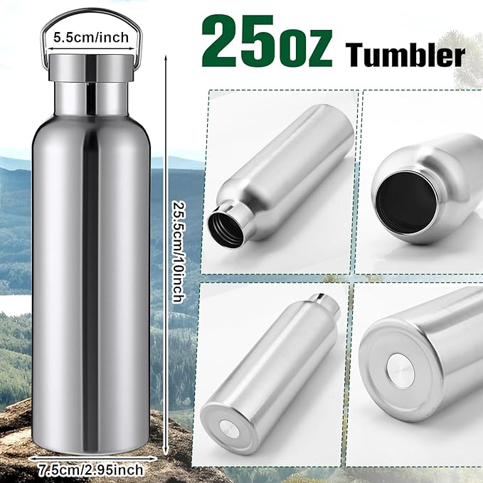10 Pack Reusable Stainless Steel Water Bottle Bulk Double Wall Insulated Sports Water Bottle with Handle and Vacuum Seal Leakproof Lid for Sports Cyclists Hiking Gym Camping Gift(Silver,25 oz)