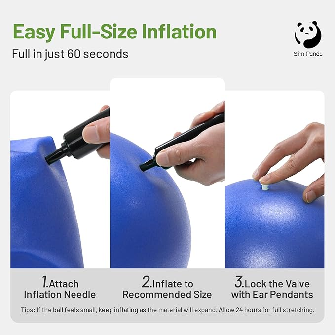 Slim Panda Pilates Ball, 9 Inch Small Exercise Ball, Anti Burst Mini Yoga Ball for Stability, Workout, Barre, Core Strength, Physical Therapy, Balance, Stretching