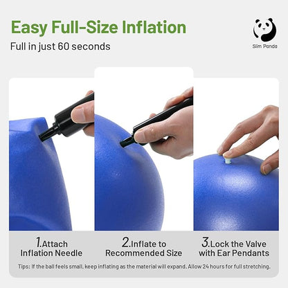 Slim Panda Pilates Ball, 9 Inch Small Exercise Ball, Anti Burst Mini Yoga Ball for Stability, Workout, Barre, Core Strength, Physical Therapy, Balance, Stretching