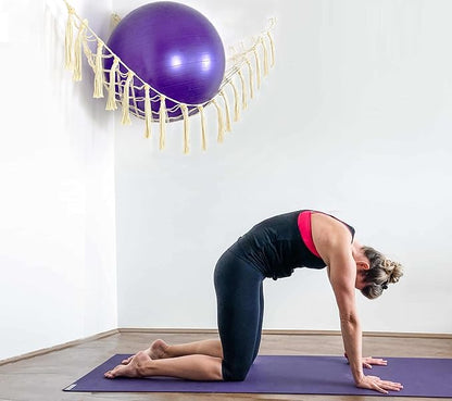 Exercise Ball Holder Yoga Ball Rack Corner Hanging Storage Net or Hammock for Fitness Ball Balance Ball Organizer Pregnancy Stability Ball Swiss Balance Ball for Yoga Studio and Gym