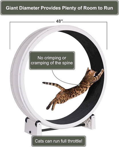 One Fast Cat - Cat Exercise Wheel - Gen. 7 - Safe 48" Diameter - Made in The USA - White Wheel with Tropical Frogs Foam Traction Pads and Light-Up LED Inline Wheels