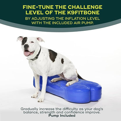 FitPAWS® K9FITbone CanineGym® Dog Balance Training Platform – Giant