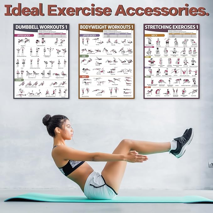 gisgfim 6PCS Workout Posters for Home Gym Dumbbell Bodyweight Stretching Workout Exercise Chart