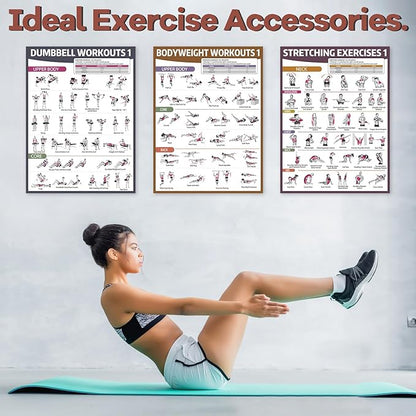 gisgfim 6PCS Workout Posters for Home Gym Dumbbell Bodyweight Stretching Workout Exercise Chart