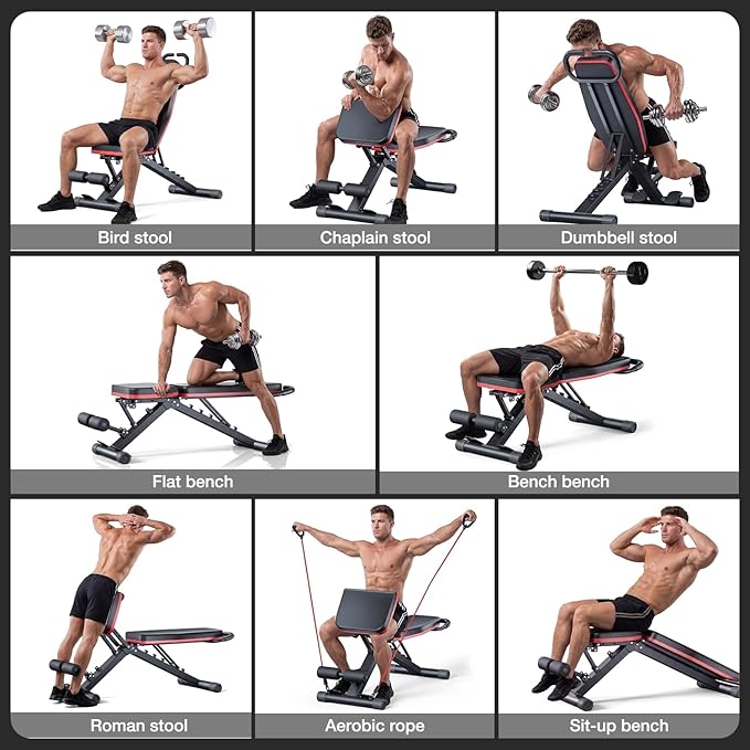 Adjustable Exercise Chair for Home Gym – Foldable Back Extension Bench for Core, Hip & Lower Back Workout – Multi-Functional Hyperextension Bench with Tension Rope for Full-Body Exercise