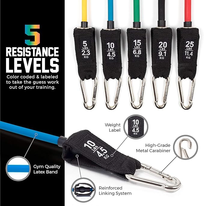 Resistance Bands Set (12 Piece) Includes Door Anchor, Ankle, Wrist Strap, Exercise Guide and Carrying Bag For Strengthening and Training (Pro Series)