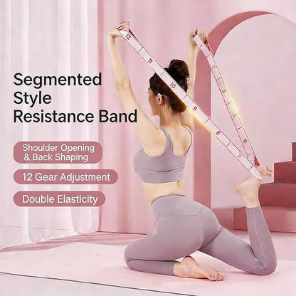 Home Pilates Kit - 12-Segment Resistance Bands + Small Pilates Ball + Random Color Air Pump | Multi-Functional Exercise Bands Resistance an Excellent Yoga Pilates Equipment