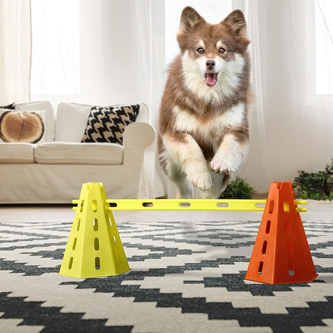 Yes4All Agility Ladder Lime 12 Rung + Agility Cone Lime 12pcs and Agility Hurdle Set, Ultimate Speed Training Equipment, Agility Obstacle Training, Pet Outdoor Games, Included Carry Bag