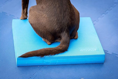 Balance Pad - FitPaws