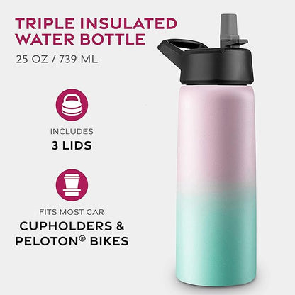 FineDine Water Bottle - Stainless Steel Insulated Water Bottle with Straw Lid, Flip Lid & Wide-Mouth Cap - Keeps Hot and Cold - 25 Oz / 739ml - Dreamy Pink-Green