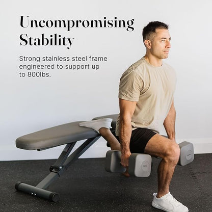 WeGym Fitness Bench, Adjustable, Collapsible, Comfortable, and Luxurious Home Gym Bench for Strength Training