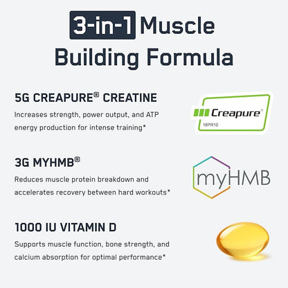 SteelFit Creatine HMB Powder - 5g Creapure Creatine Monohydrate Powder, 3g myHMB & 1000 IU Vitamin D - Workout Supplement Supports Muscle Growth, Strength, Recovery & Energy - Unflavored, 30 Servings