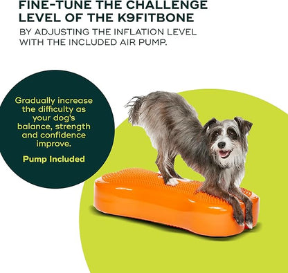 FitPAWS® K9FITbone® - Regular, Orange | Dog Balance Training Platform & Exercise Equipment | Workout Tool for Strength, Core & Stability