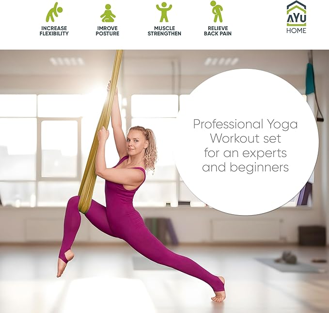 AyuHome Aerial Silks Kit for Home - Premium Yoga Swing for Kids and Adults with 660 lbs Capacity - Versatile Aerial Yoga Hammock for Gymnastics Training