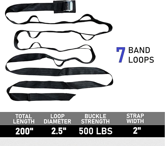 Lumia Wellness Anchor Strap for Resistance Band Exercises, Heavy Duty Door Gym Band,Full Body Multi-Point Home Gym, Portable Workout Equipment, Easy to Instal, No Hardware Necessary