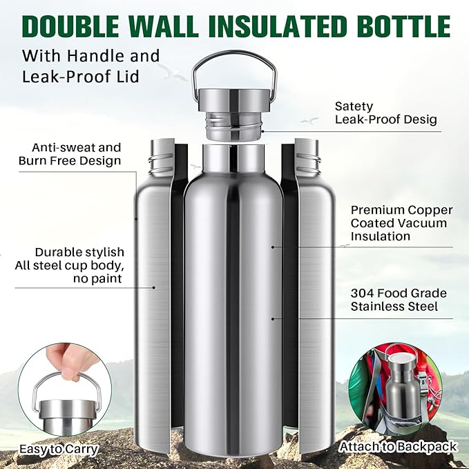 10 Pack Reusable Stainless Steel Water Bottle Bulk Double Wall Insulated Sports Water Bottle with Handle and Vacuum Seal Leakproof Lid for Sports Cyclists Hiking Gym Camping Gift(Silver,25 oz)