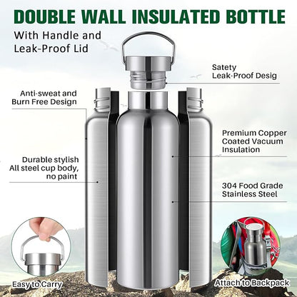 10 Pack Reusable Stainless Steel Water Bottle Bulk Double Wall Insulated Sports Water Bottle with Handle and Vacuum Seal Leakproof Lid for Sports Cyclists Hiking Gym Camping Gift(Silver,25 oz)