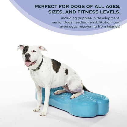 FitPAWS® K9FITbone CanineGym® Dog Balance Training Platform – Giant