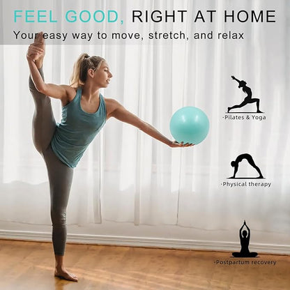 20-Pack of 9 Inch Exercise Balls, Pilates Ball & Mini Yoga Ball for Physical Therapy, Core Strength, Stability Training - Anti-Burst, Slip Resistant for Home, Gym, Office - Bulk Set