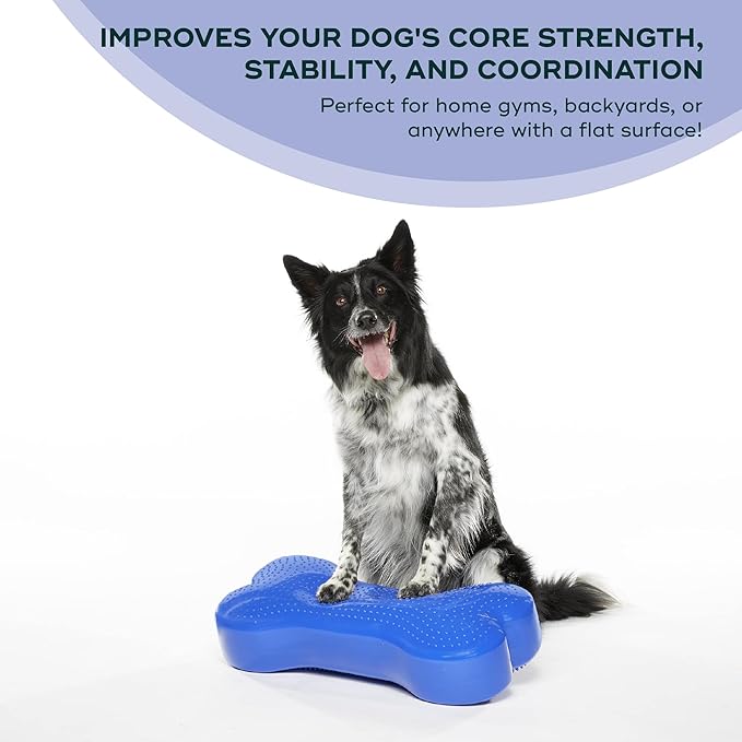 FitPAWS® K9FITbone® - Regular, Blue | Dog Balance Training Platform & Exercise Equipment | Workout Tool for Strength, Core & Stability