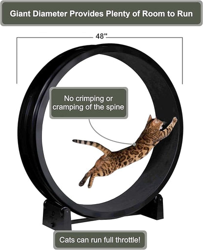 One Fast Cat - Cat Exercise Wheel - Gen. 7 - Safe 48" Diameter - Made in The USA - Black Wheel with Tropical Frogs Foam Traction Pads and Light-Up LED Inline Wheels