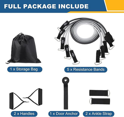 Resistance Bands Set, Exercise Bands for Working Out with Door Anchor/Handle/Ankle Strap/Pouch