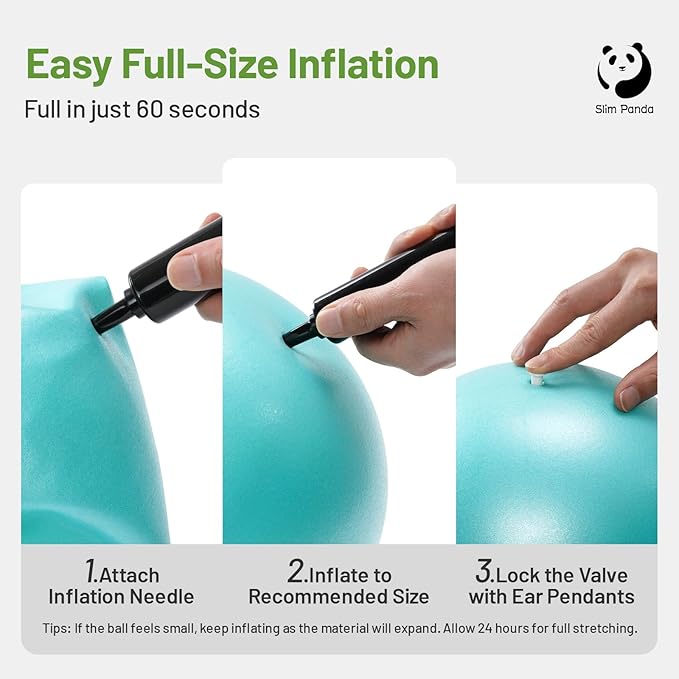 Slim Panda Pilates Ball, 9 Inch Small Exercise Ball, Anti Burst Mini Yoga Ball for Stability, Workout, Barre, Core Strength, Physical Therapy, Balance, Stretching