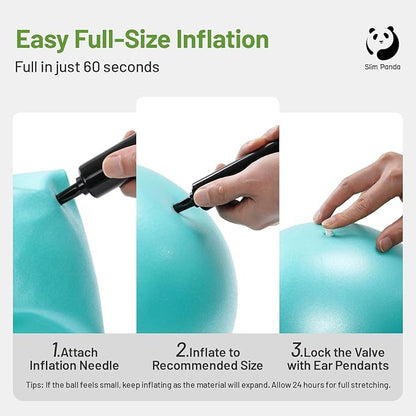 Slim Panda Pilates Ball, 9 Inch Small Exercise Ball, Anti Burst Mini Yoga Ball for Stability, Workout, Barre, Core Strength, Physical Therapy, Balance, Stretching