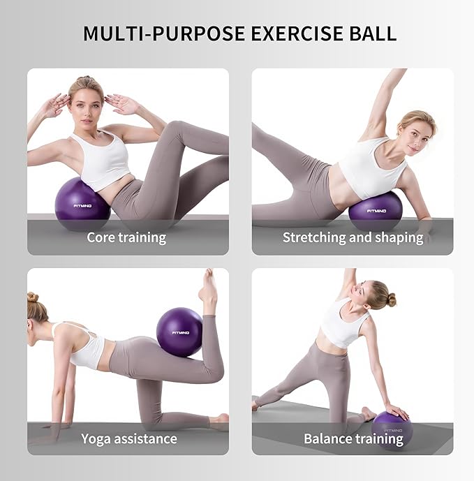 FITMIND_Pilates Ball 10 Inch Anti-Burst Slip Resistant Mini Yoga Ball for Fitness, Core Training, Physical Therapy, Balance, Stability, Stretching 200kg 440lbs Capacity