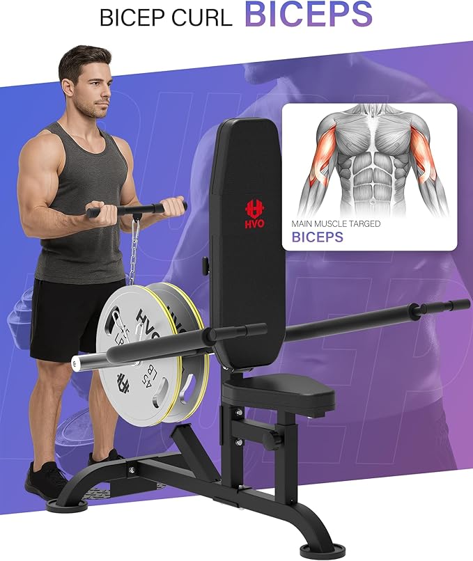 Seated Dip Machine Tricep Biceps: Plate Loaded Exercise for Home Gym Bicep Strength Training Equipment Cable Bar Chest Press