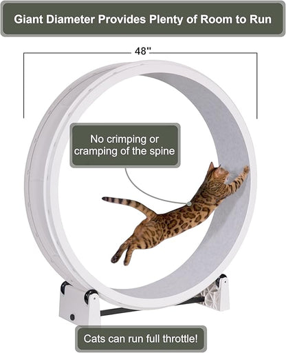 One Fast Cat - Cat Exercise Wheel - Gen. 7 - Safe 48" Diameter - Made in The USA - White Wheel with Gray Felt Traction Pads and Light-Up LED Inline Wheels