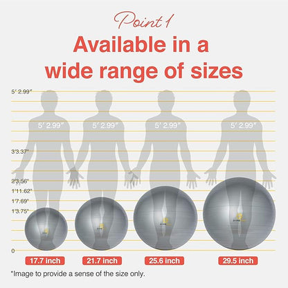 Primasole Exercise Ball for Balance Stability Fitness Workout Yoga Pilates at Home Office & Gym Birthing Ball for Pregnancy, Office Ball Chair
