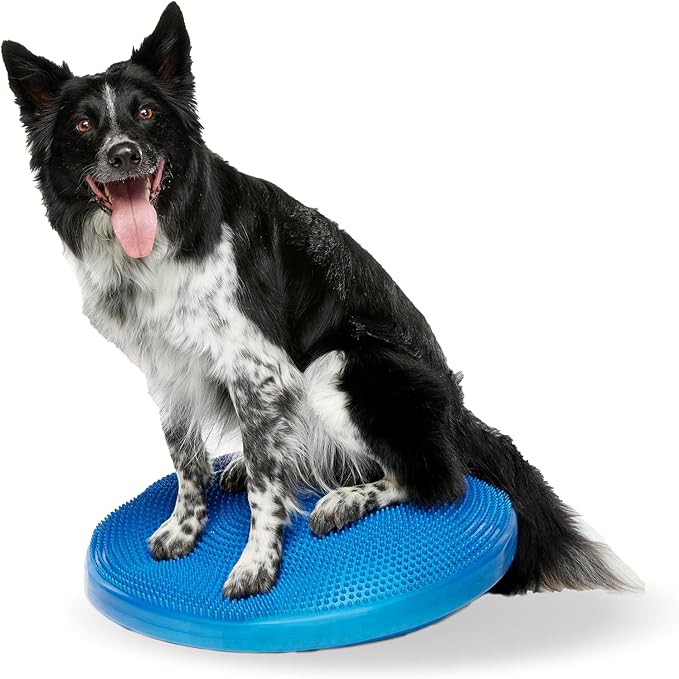 FitPAWS® Dog Balance Disc – 22”, Blue | Dog Exercise Equipment | Workout Tool for Strength, Core, Stability & Rehabilitation