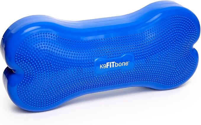 FitPAWS® K9FITbone CanineGym® Dog Balance Training Platform – Giant