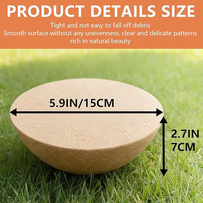 Balance board Cork Hemisphere, 15cm diameter 7cm height, balance trainer, Fitness Balance Ball for adults and children, for rehabilitation equipment, yoga, Pilates aids,Environmentally Friendly Design